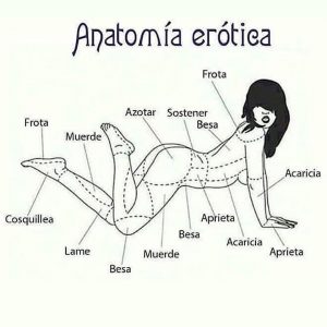 anatomia erotica mujer